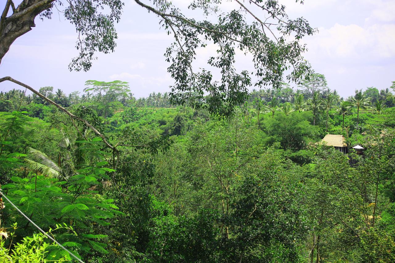 The Pandora Hotel Ubud  Exterior photo